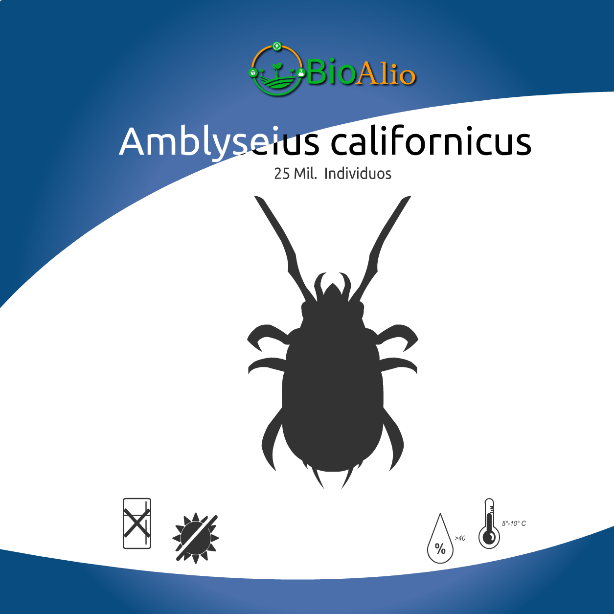 Amblyseius californicus