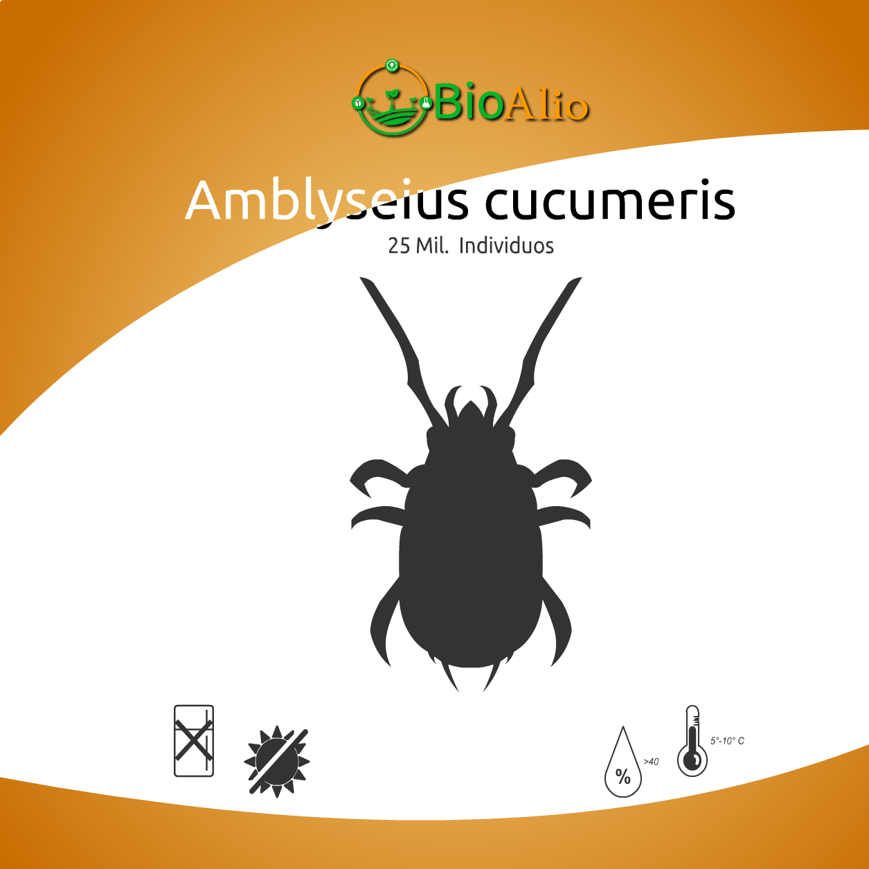 Amblyseius cucumeris