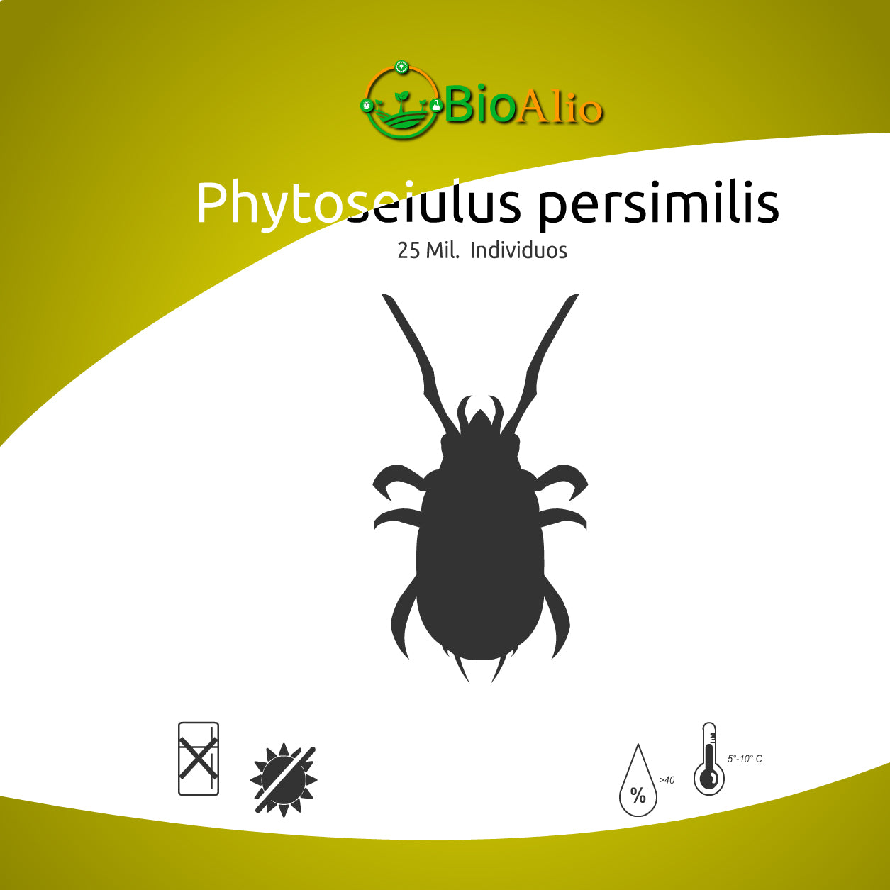Phytoseiulus persimilis