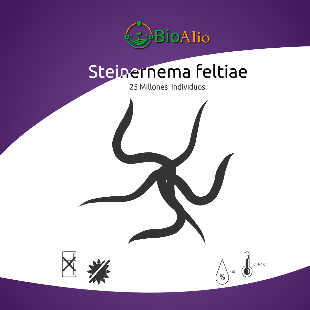 Steinernema feltiae