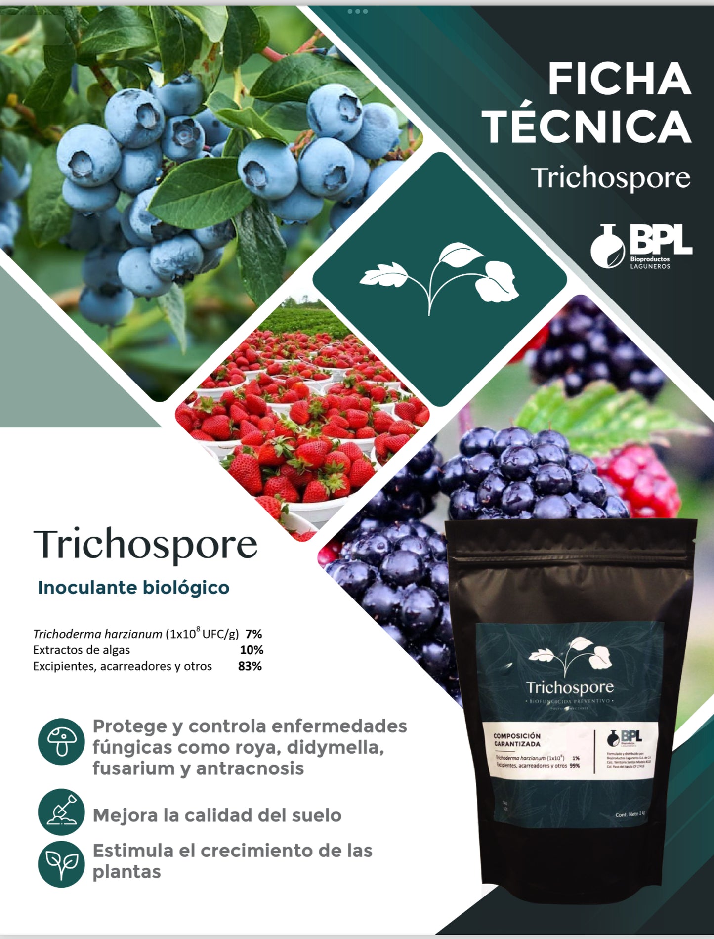 TRICHOSPORE