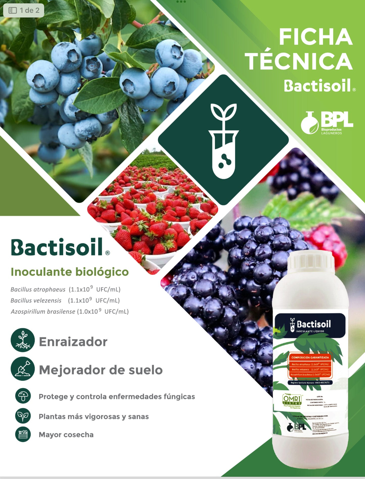 BACTISOIL