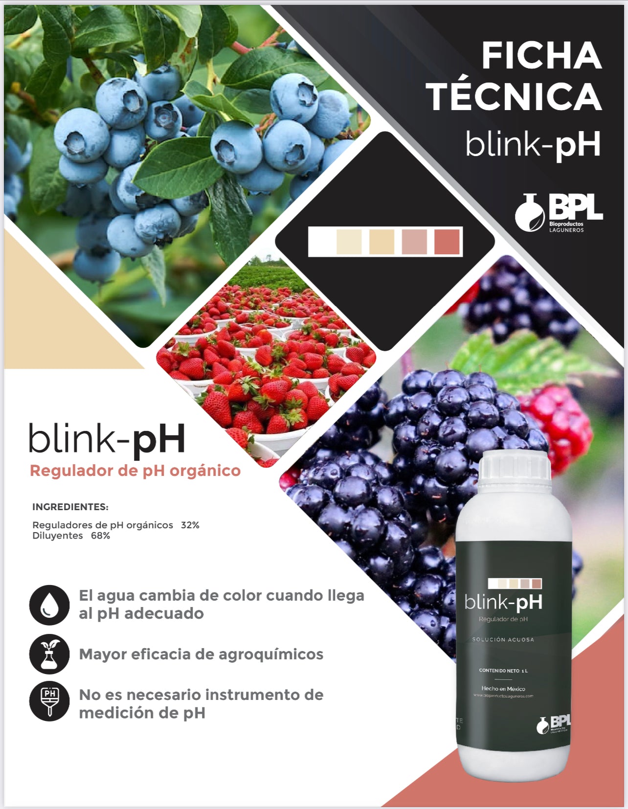 BLINK PH